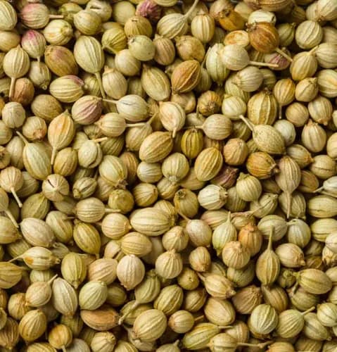Coriander Seeds product image