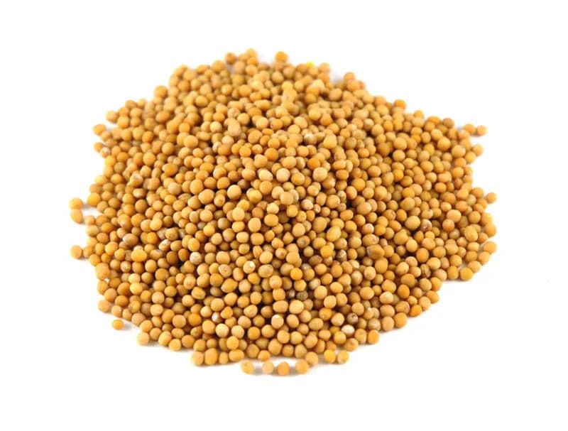 Mustard Seeds product image