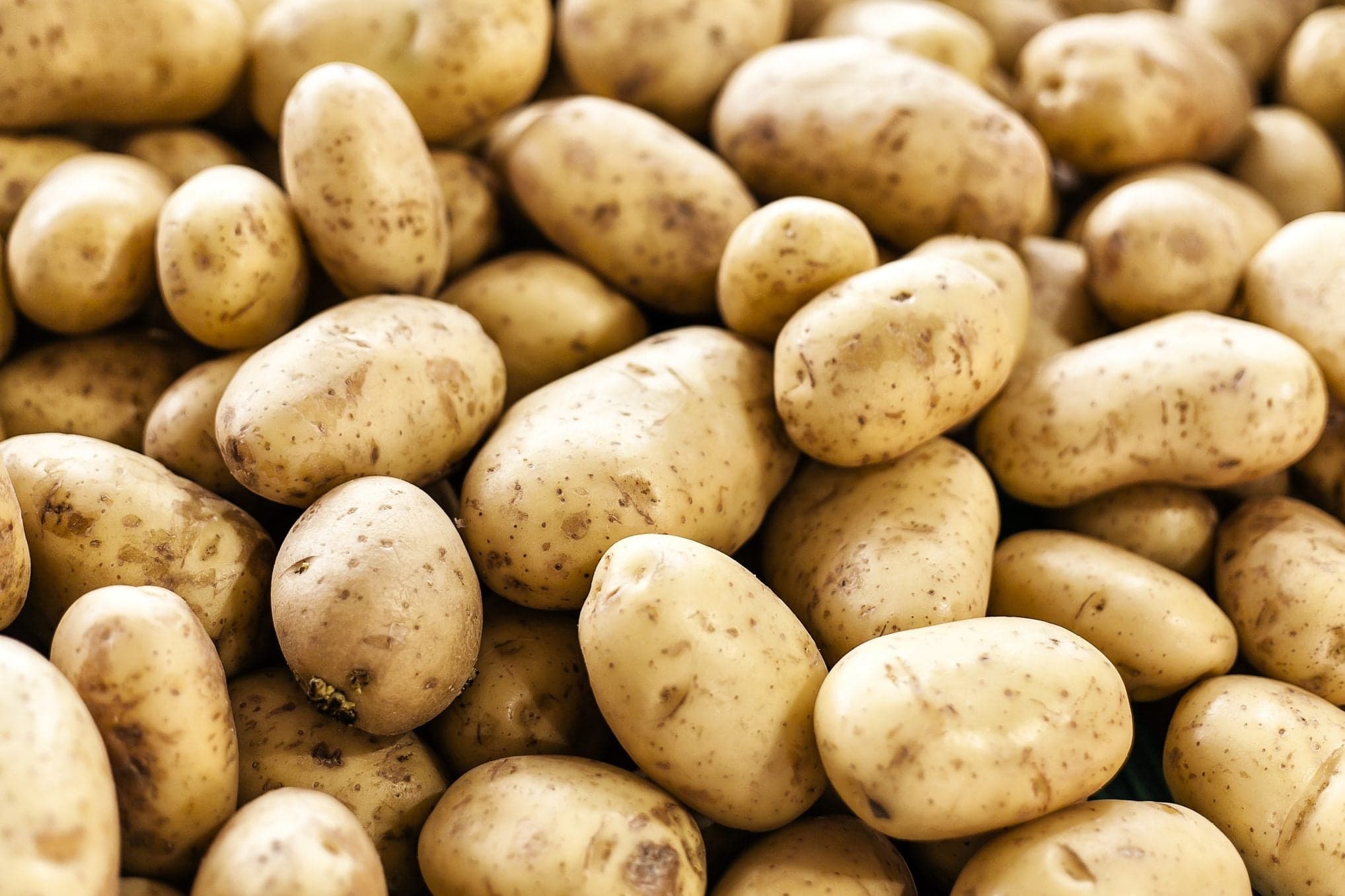 Fresh Potato product image