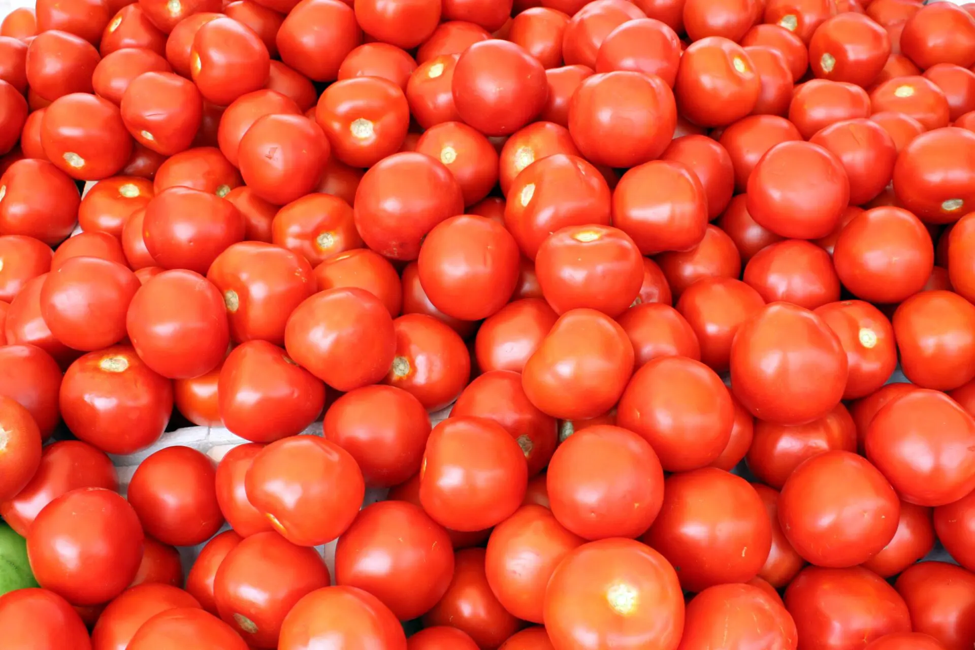 Fresh Tomato product image